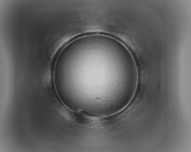 X0000111581167200907231229