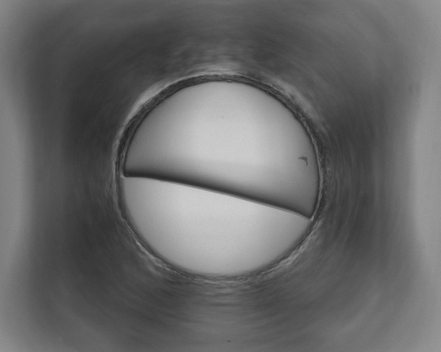 X0000111581168200907231229