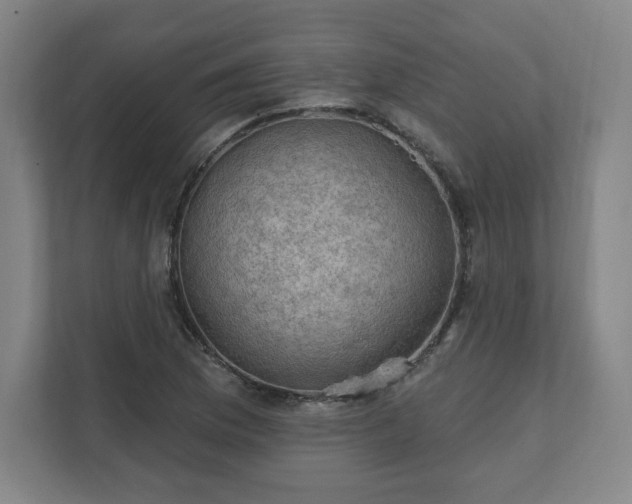 X0000111581169200907231229