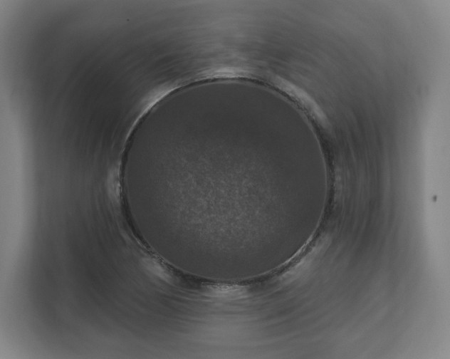 X0000111581170200907231229