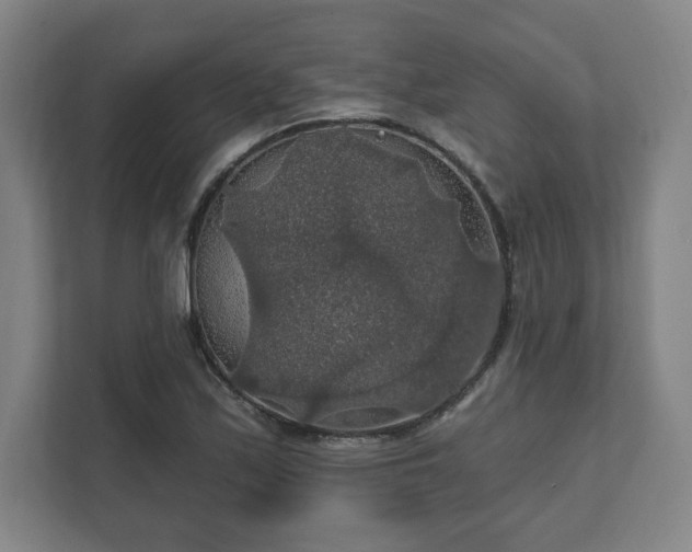 X0000111581171200907231229