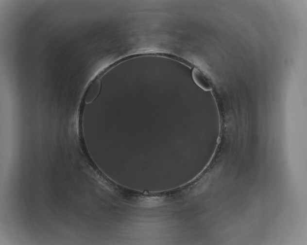 X0000111581173200907231229