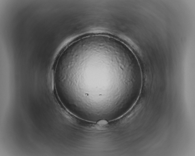 X0000111581175200907231229