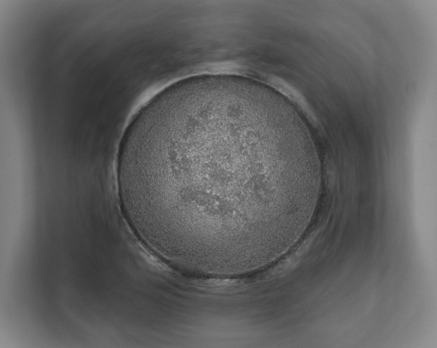 X0000111581176200907231229