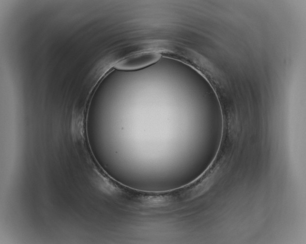 X0000111581177200907231229