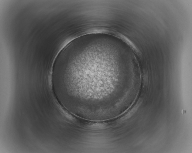 X0000111581178200907231229