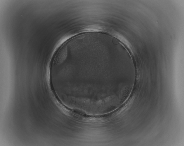 X0000111581179200907231229