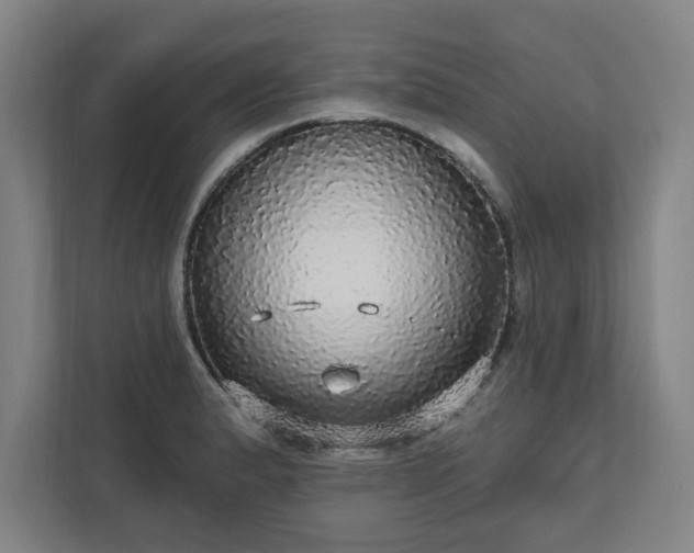 X0000111581183200907231229