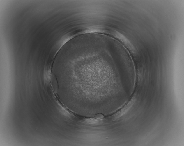 X0000111581185200907231229