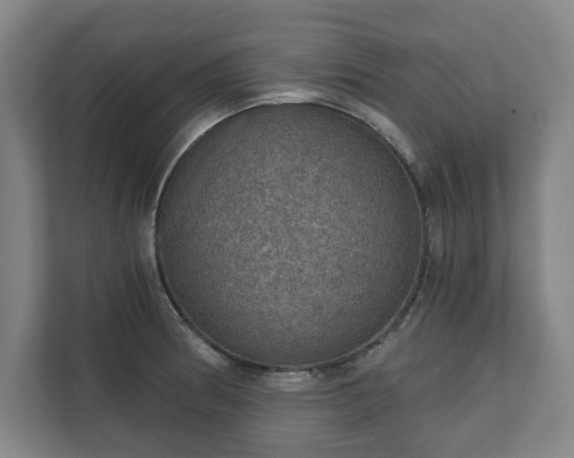 X0000111581186200907231229
