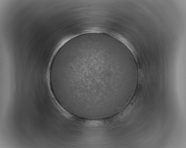 X0000111581187200907231229