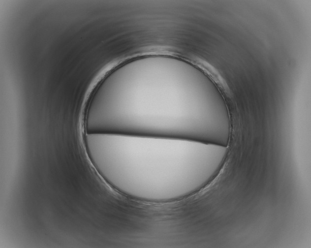 X0000111581188200907231229