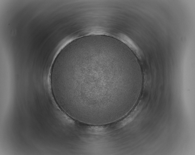 X0000111581190200907231229
