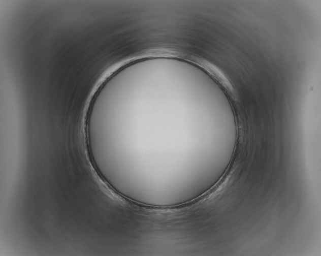 X0000111581192200907231229