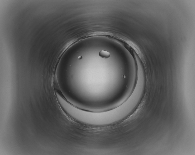 X0000111581193200907231229
