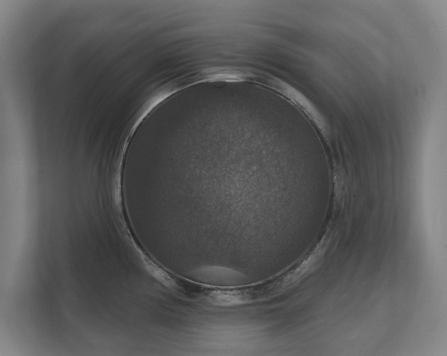 X0000111581194200907231229