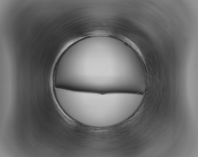 X0000111581195200907231229