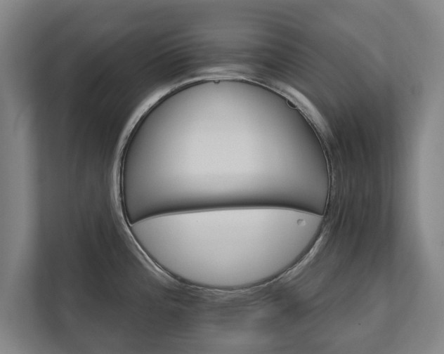 X0000111581196200907231229