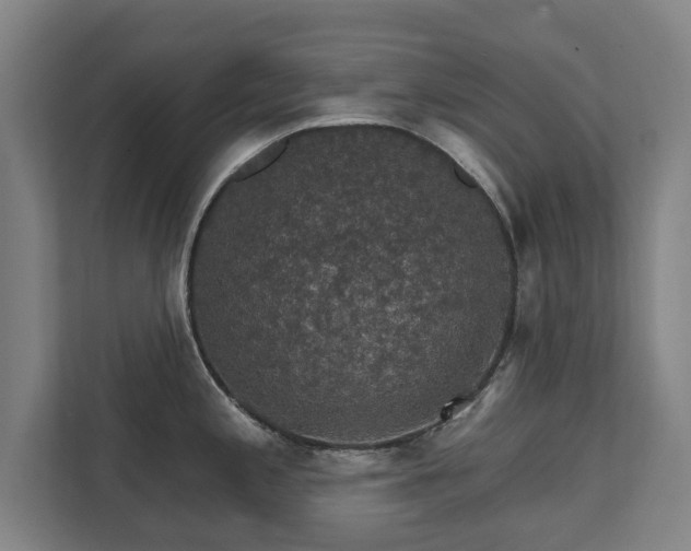 X0000111581197200907231229