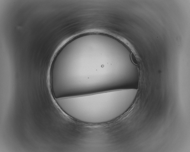 X0000111581199200907231229