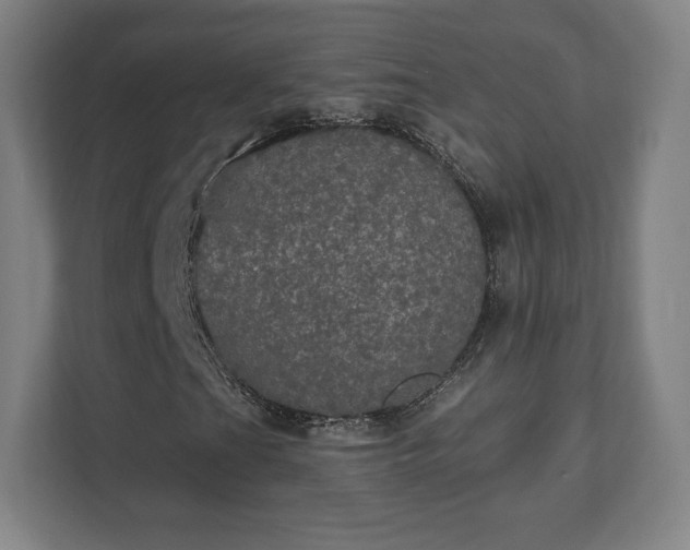 X0000111581201200907231228