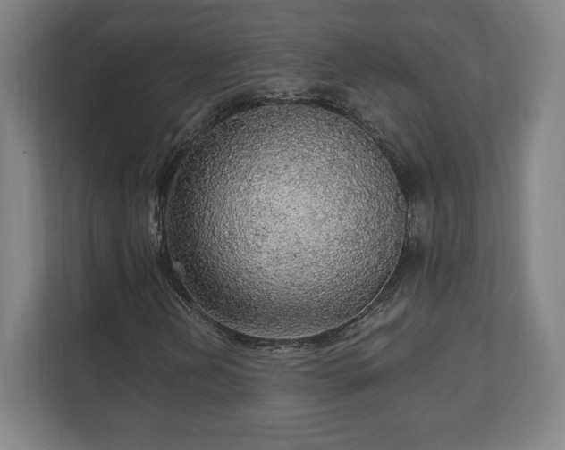 X0000111581202200907231228