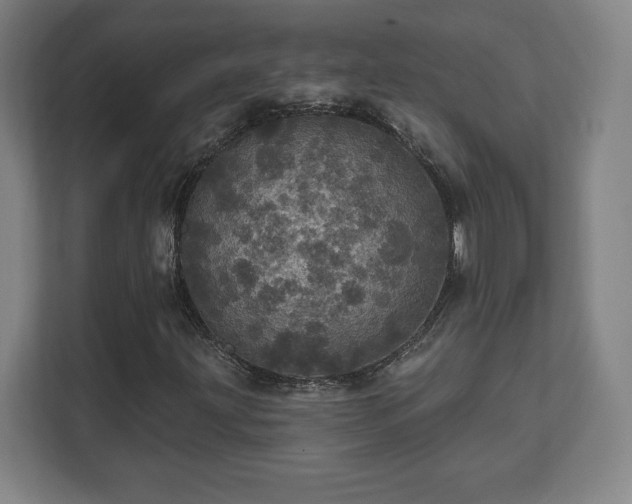 X0000111581203200907231228