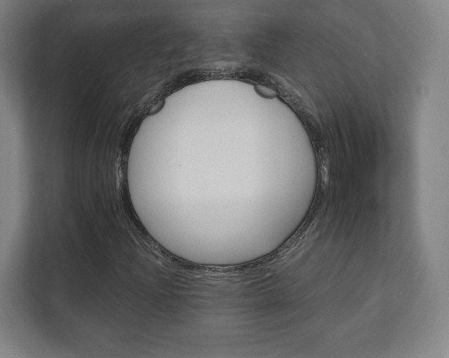 X0000111581204200907231228