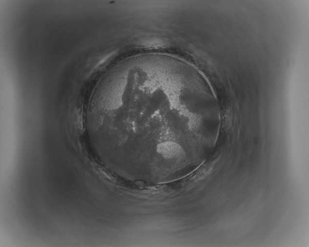 X0000111581205200907231228