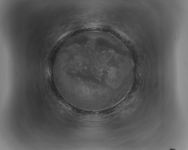 X0000111581206200907231228
