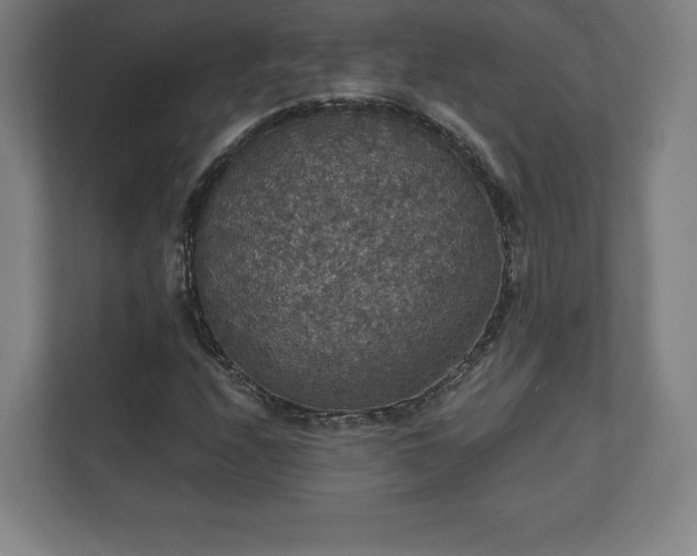 X0000111581208200907231228