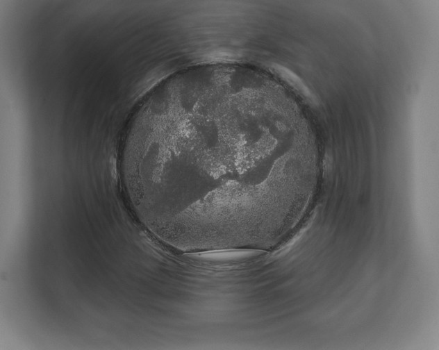 X0000111581209200907231228