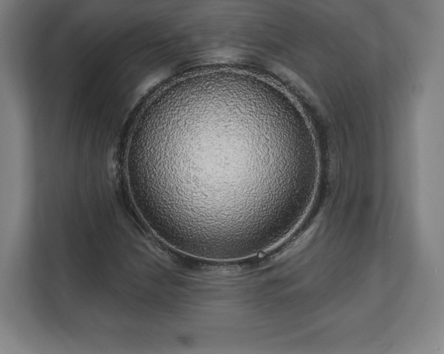 X0000111581210200907231228
