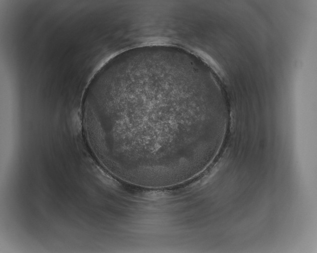 X0000111581212200907231228