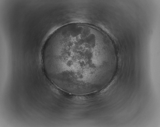 X0000111581215200907231228