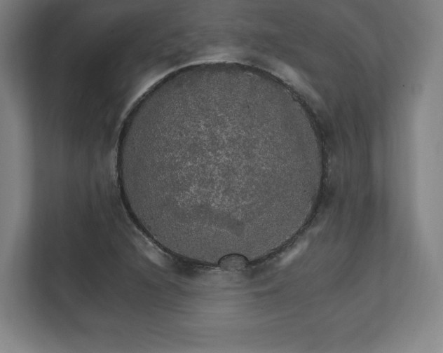 X0000111581216200907231228