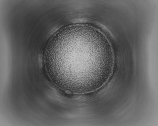 X0000111581217200907231228