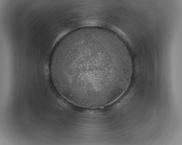 X0000111581218200907231228
