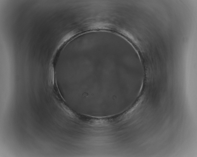X0000111581219200907231228