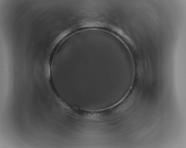X0000111581221200907231229