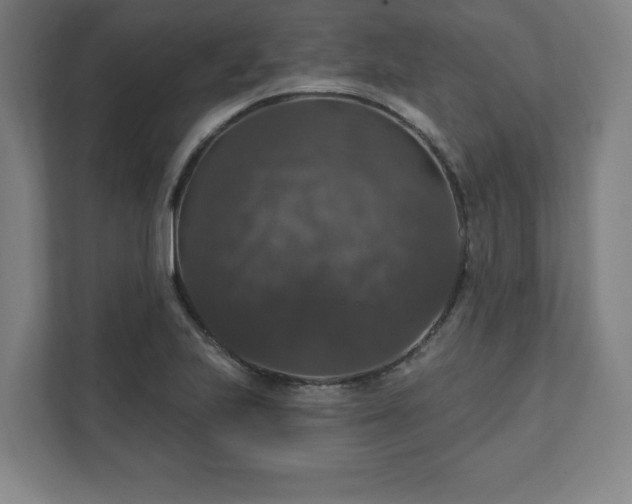 X0000111581223200907231229