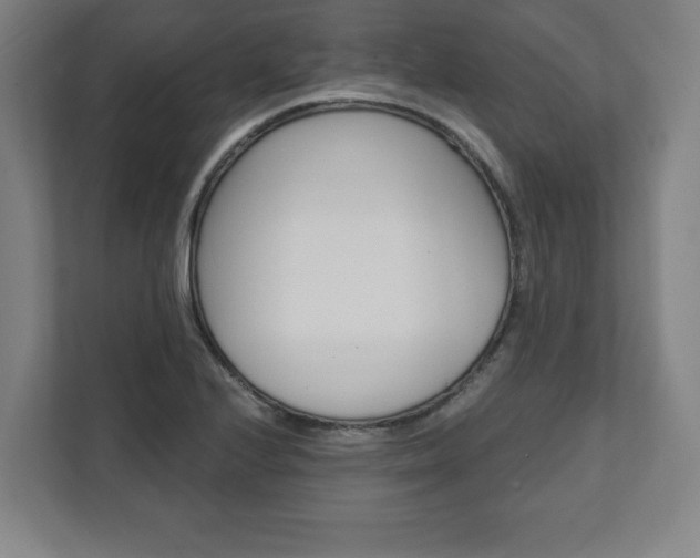 X0000111581224200907231229
