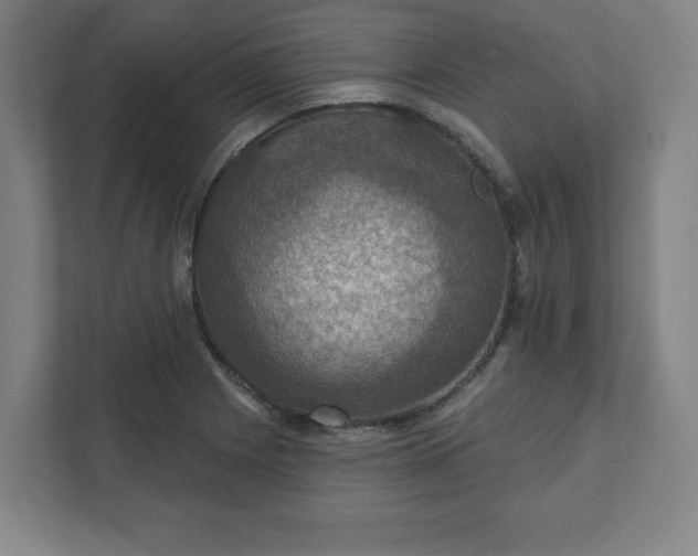 X0000111581225200907231229