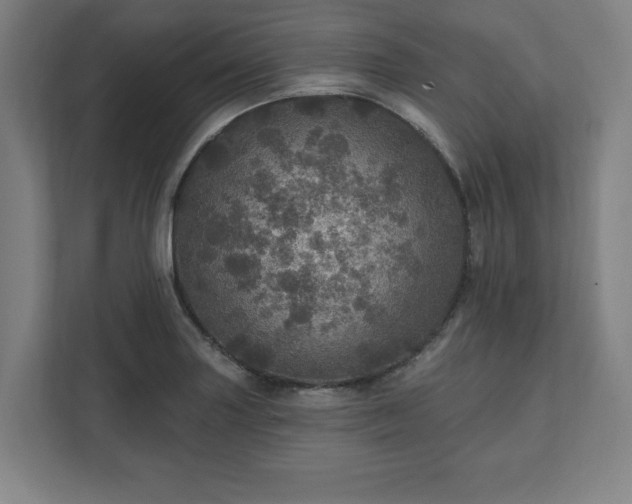 X0000111581227200907231229
