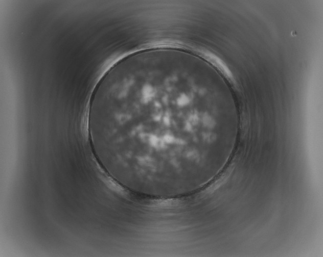 X0000111581228200907231229