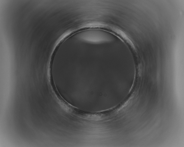 X0000111581229200907231229