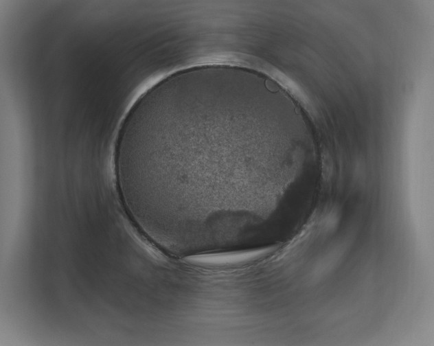 X0000111581230200907231229