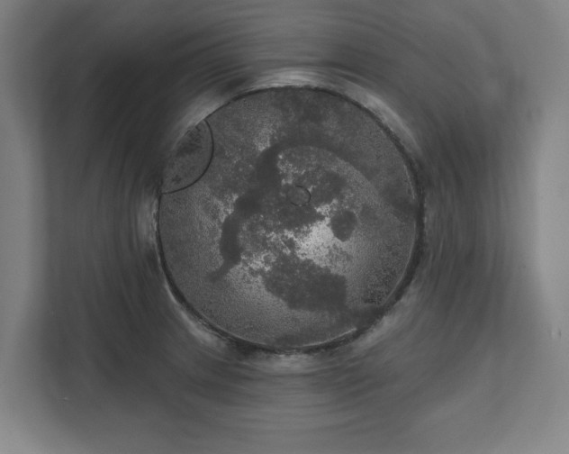 X0000111581233200907231229