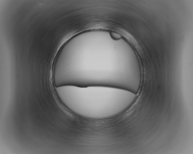 X0000111581234200907231229