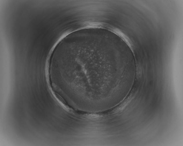 X0000111581235200907231229